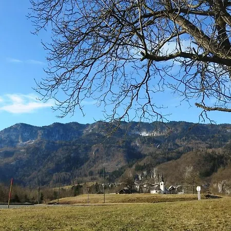 Bela Bohinjska Bela